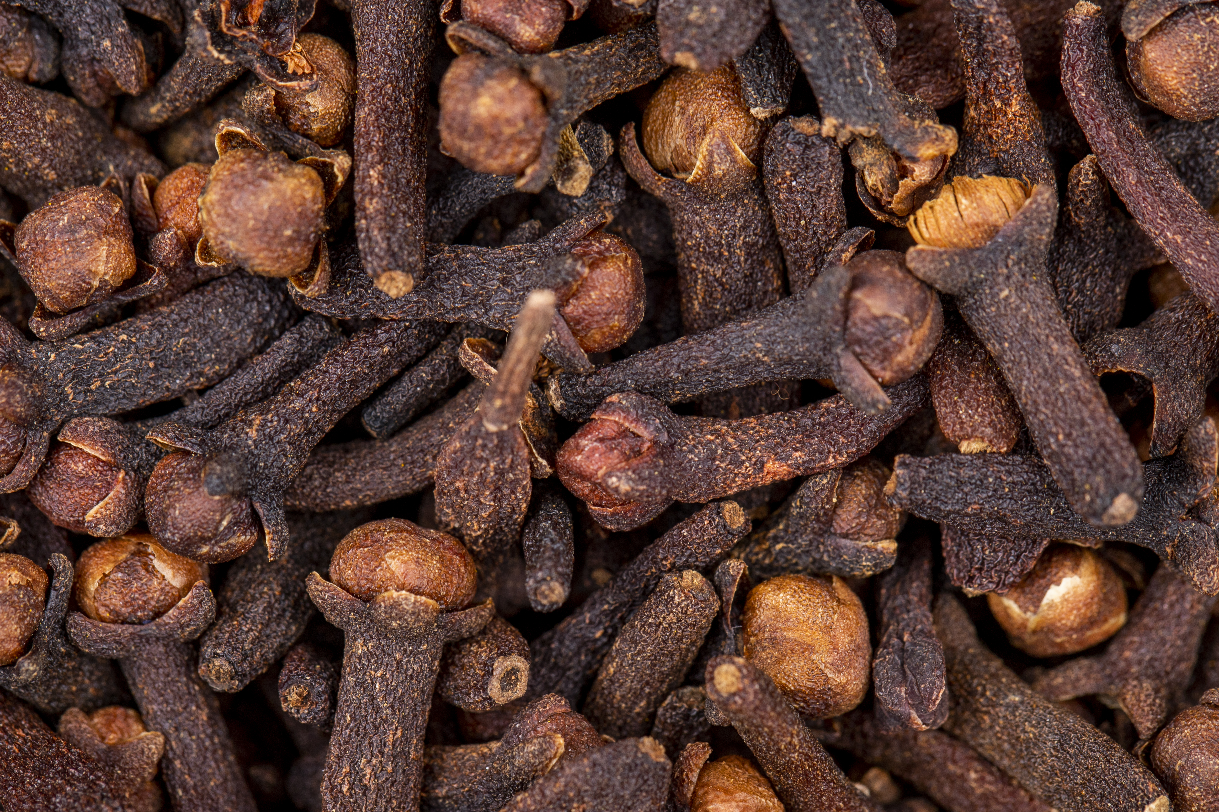 Clove