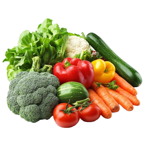 Premium export-quality vegetables including bell peppers, carrots, broccoli, onions and tomatoes